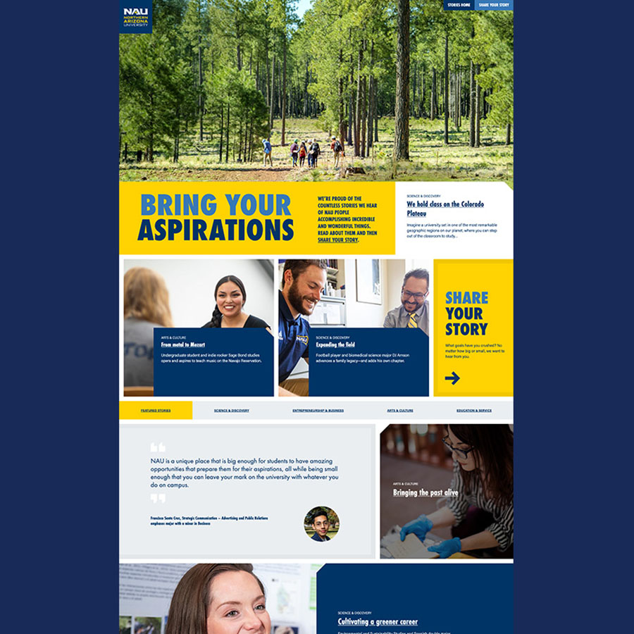 Wider view of Bring Your Aspirations website.