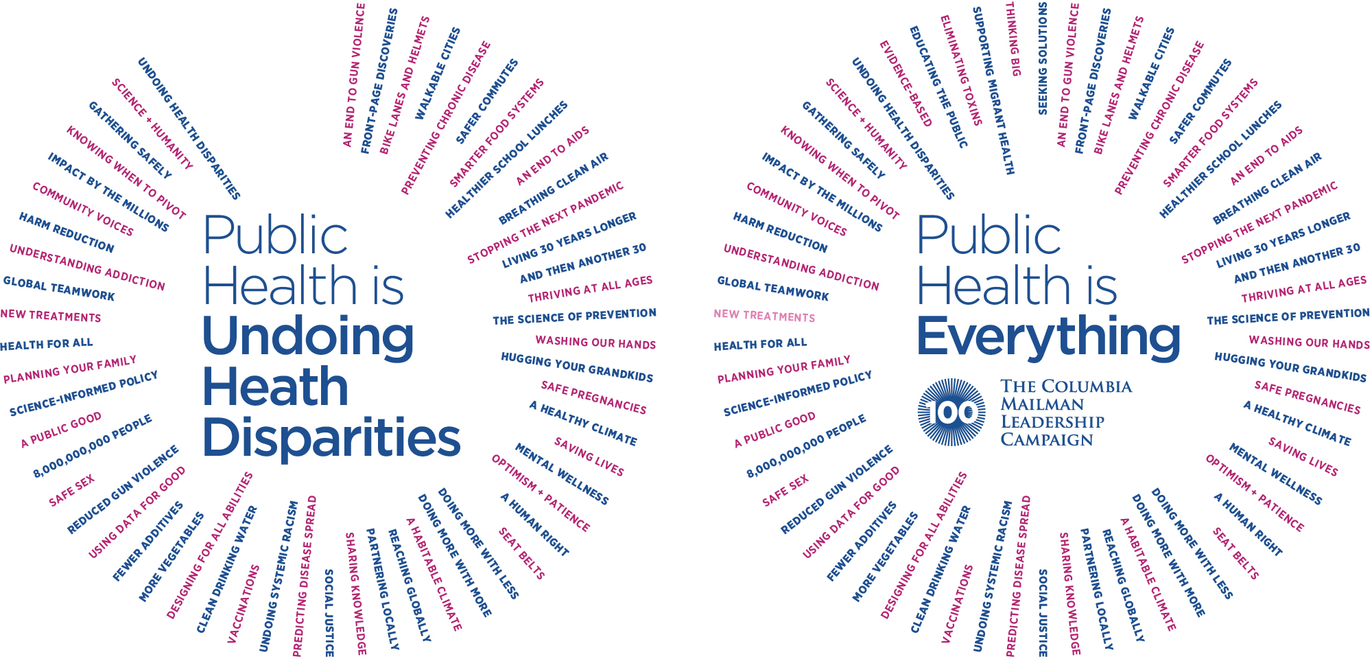 Logo build. Public Health is: 1. Undoing Health Disparities  2. Everything