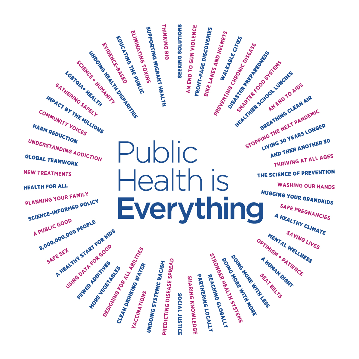 Full Public Health is Everything campaign logo