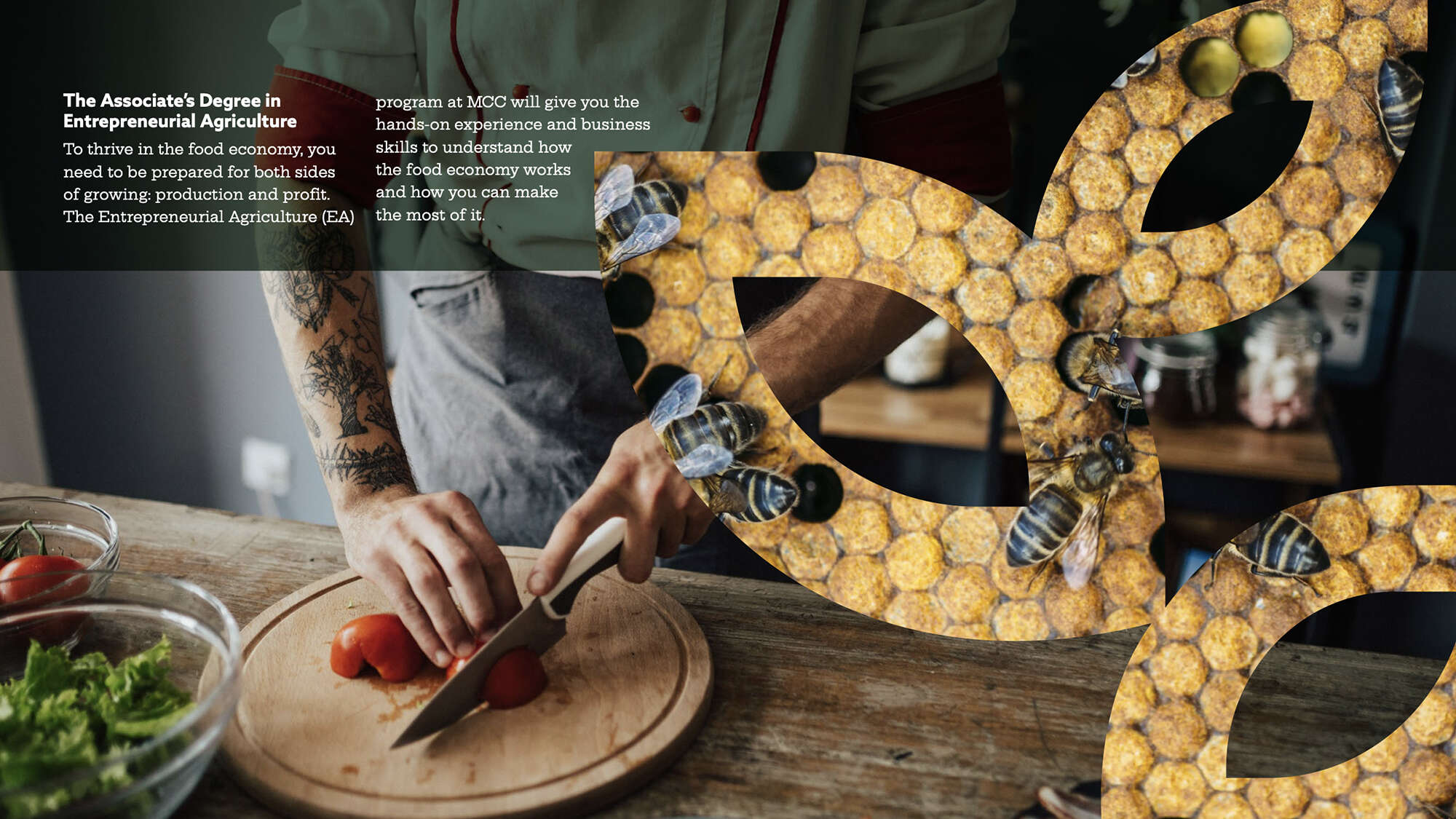 man slicing tomatoes and leaf graphic w bees and honeycomb