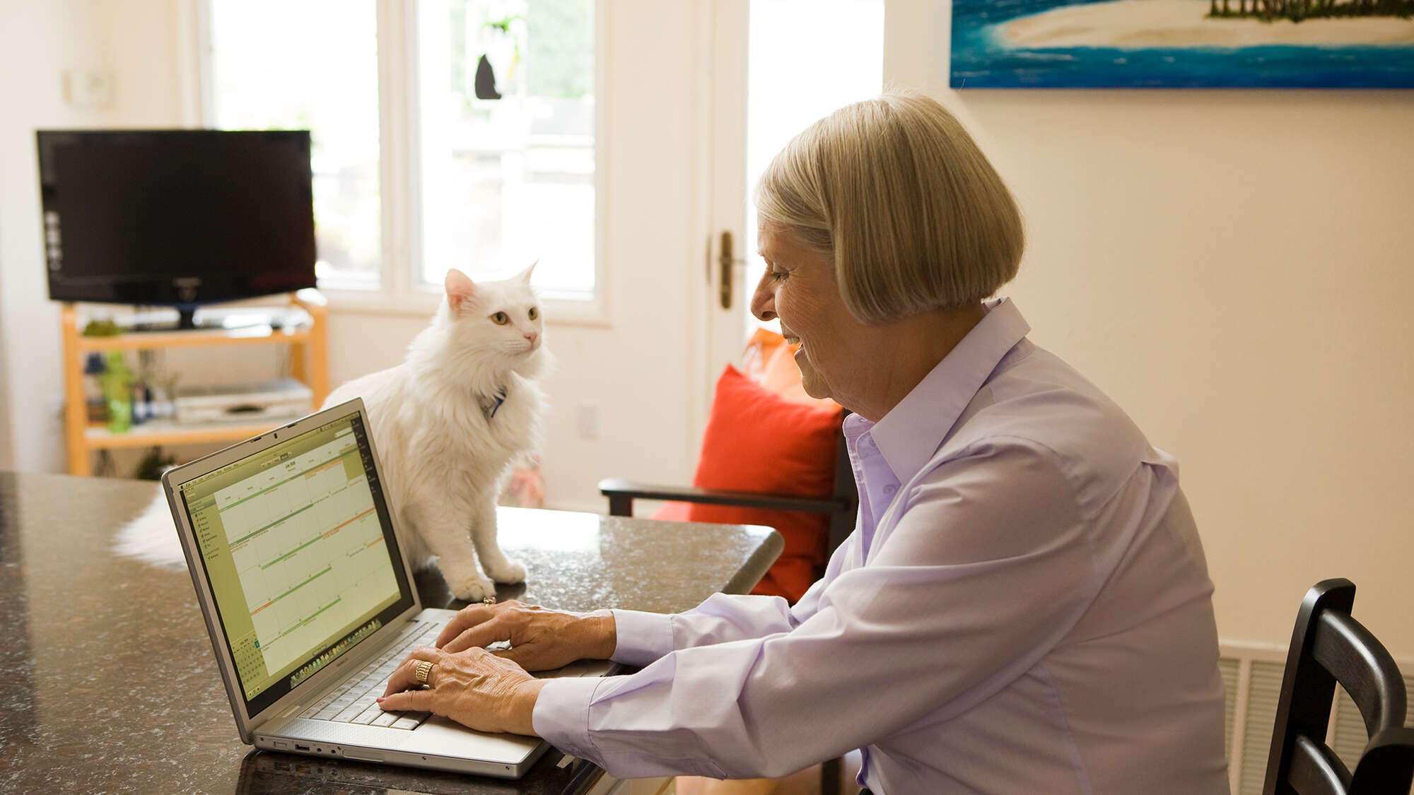 woman on laptop with cat on desk looking at her
